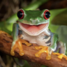 Bowserman
