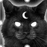 Felis