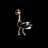 Spacey Ostrich