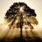 Treelight