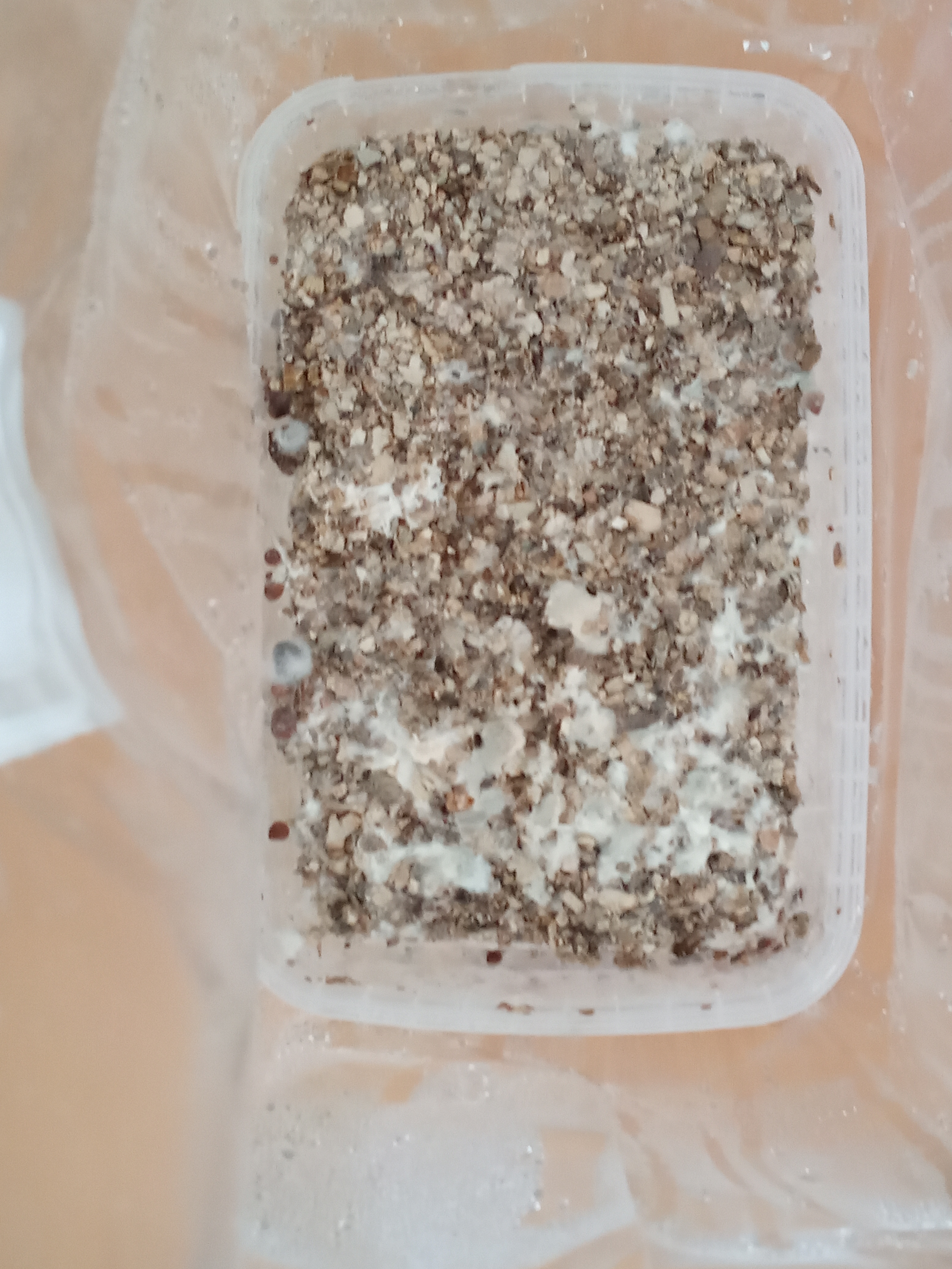 IMG-20190729-182501.jpg