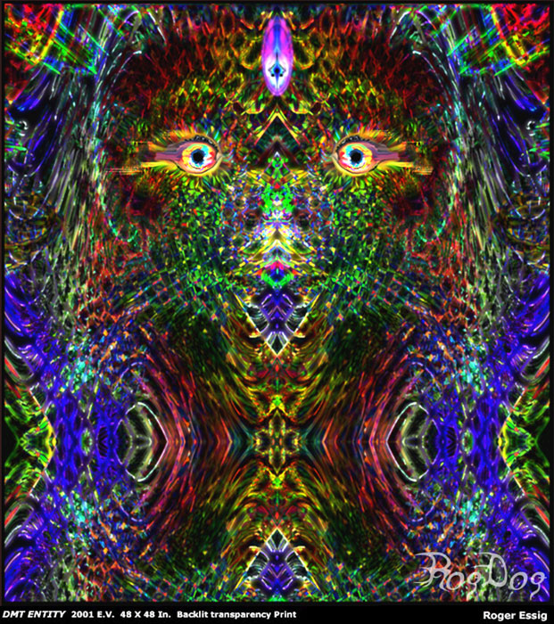 roger_essig_5_DMT.jpg